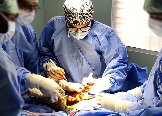 Joint Replacement